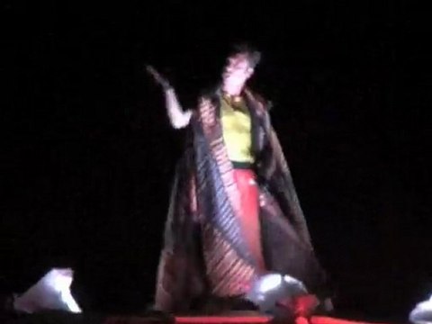 FEU DARTIFICE 13 JUILLET 2011