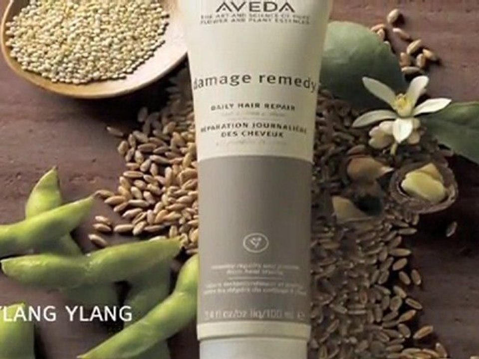 Hair Salons Salt Lake City - Repair Damaged Hair with Aveda