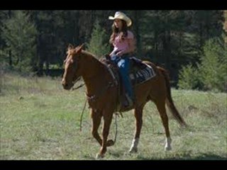 Flicka 2 Movie Trailers HD