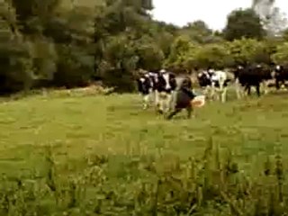 Fula fait la folle ! :)