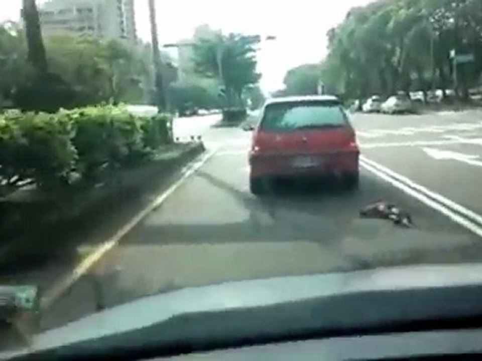 Autóval húzott kutya SHOCK!