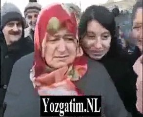 4 -  Komedi Anlamaz Öküz Camış