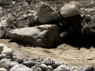 Gaumukh glacier and the snout…