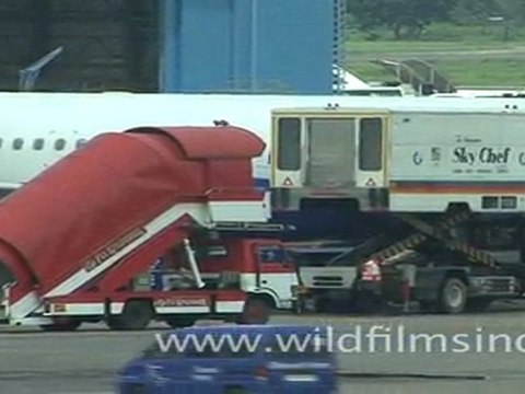 Indira Gandhi International Airport Terminal 3