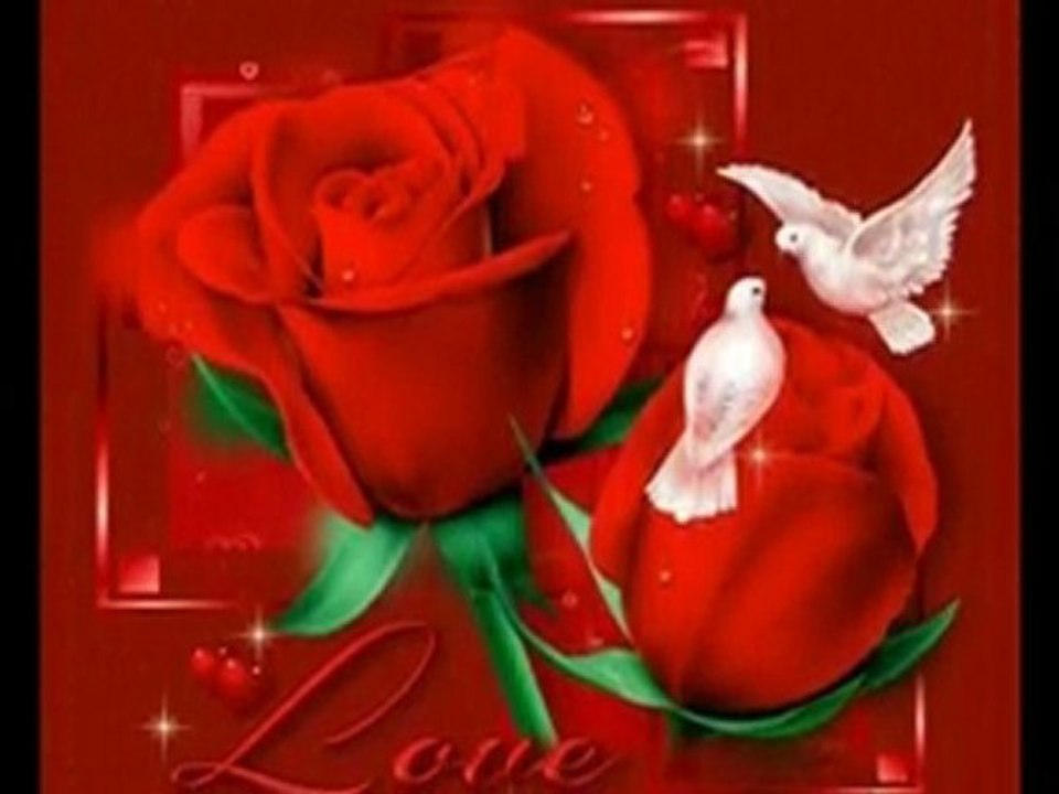 beyaz güvercin şiir & video bahri yıldırım ( dosteli) seslendiren ( çimlerin melodisi )