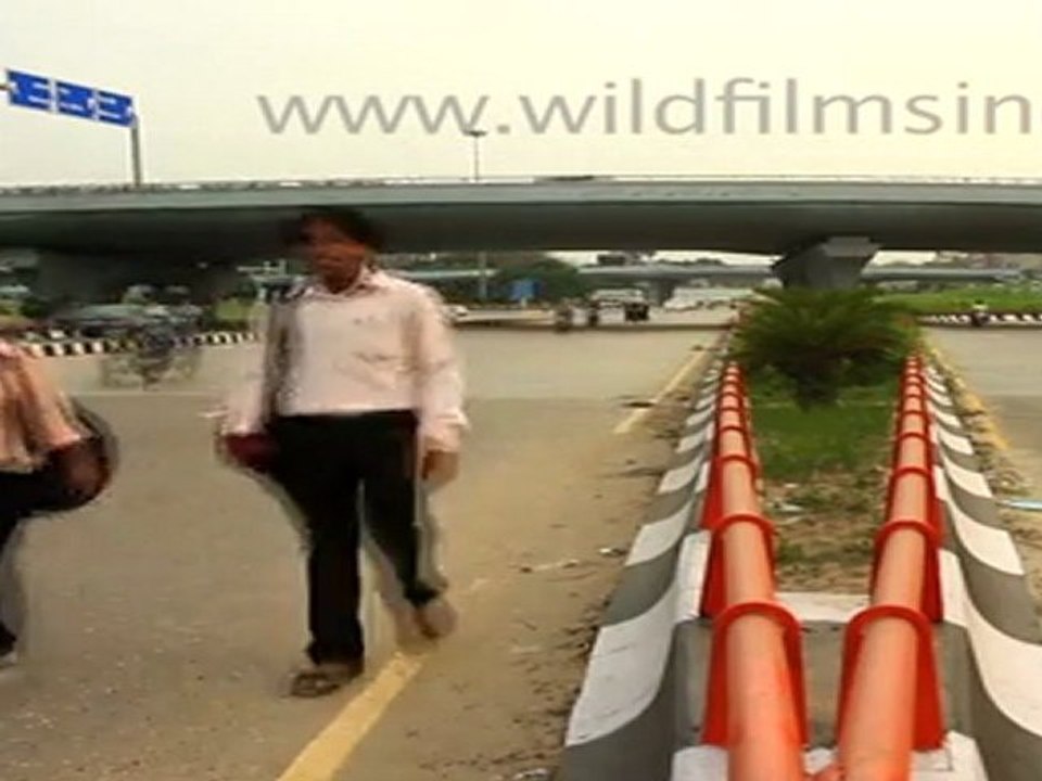 AIIMS flyover - Medical!