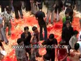 Activities on the occassion of mUHARRAM