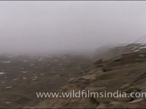 Gangotri glacial moraine from above…