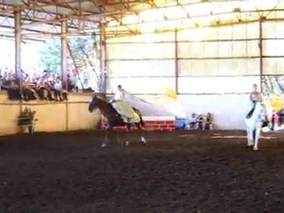 Fête du club - Hawaï montée en amazone.