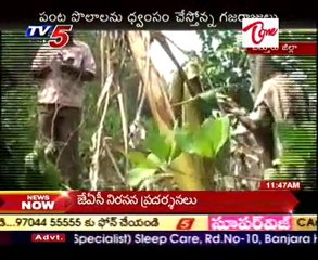 Elephants attacks in Chittoor Fields