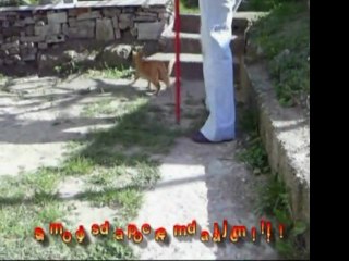 Mali film o Garfildu - drugi deo