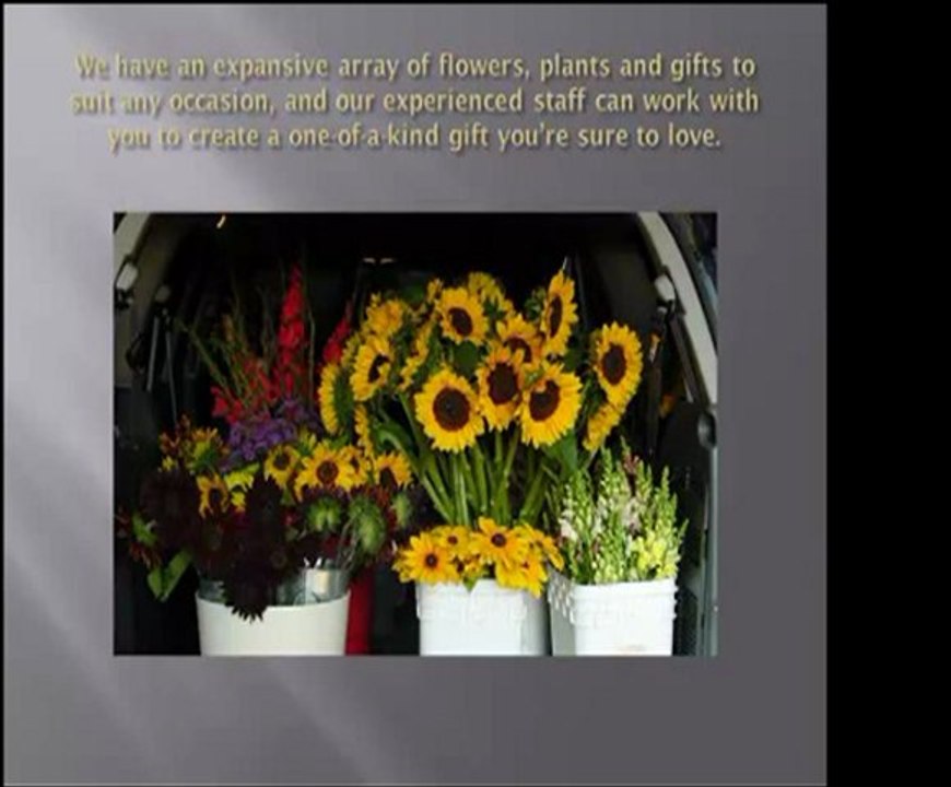 http://florists.ingainesvillelocalarea.com