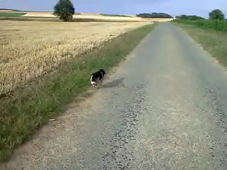 Minus vitesse maximum