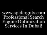 Dubai SEO company; Website marketing in Dubai (UAE) & UK