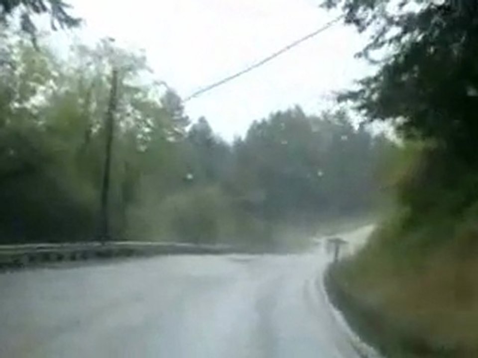 Rainy