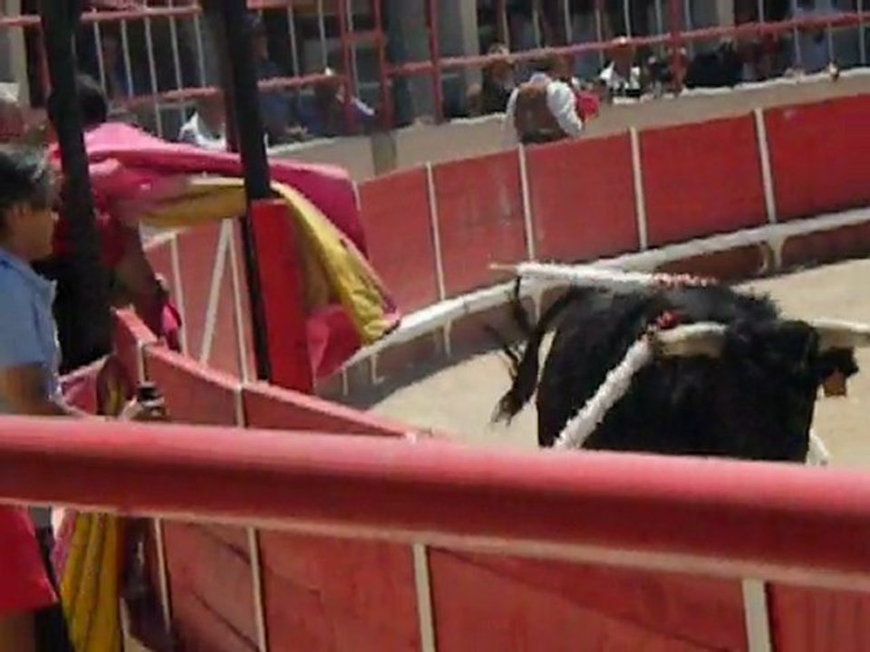 MARRE MARRE MARRE 1 !!!