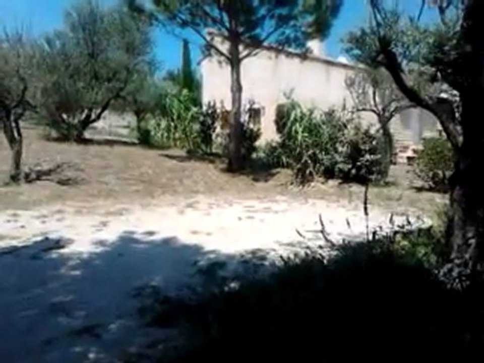 gite le Piauzier :  juillet 2011