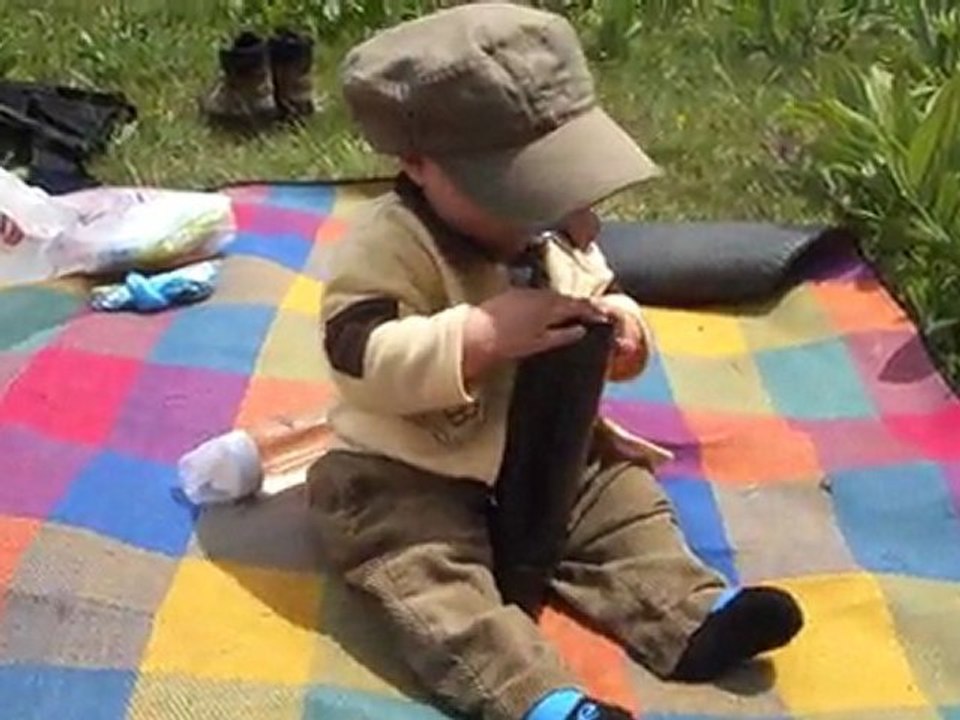 Pique-nique en forêt