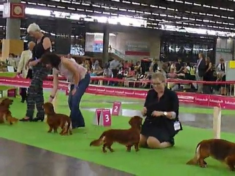 Fulbert au Championnat du Monde 2011