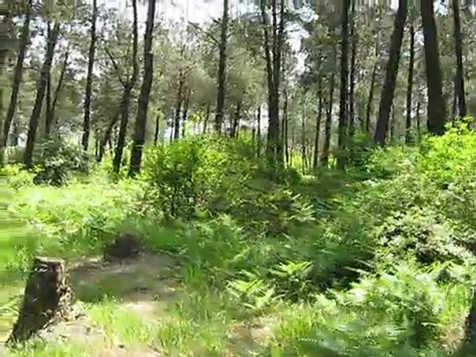 GÖKÇELİ DERNEĞİ BEŞİNCİ PİKNİK ALANI ÖN KEŞİF GÖRÜNTÜLERİ-2 (9 MAYIS 2010)