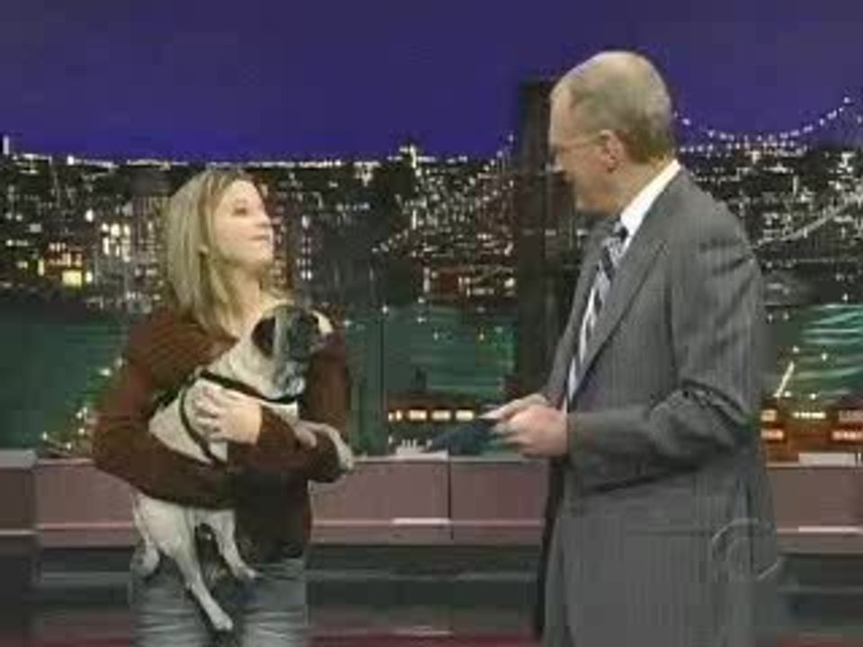letterman-chien-parle-i-love-you