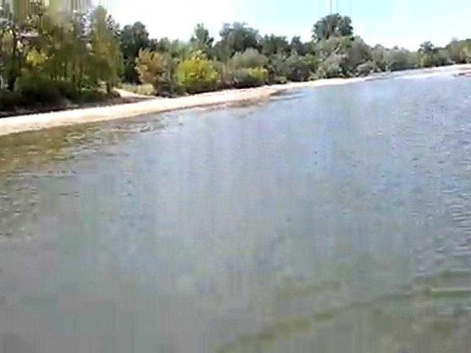 Arès à 1 an enfin il ose aller où il n' a pas pied bravo mon bonhomme