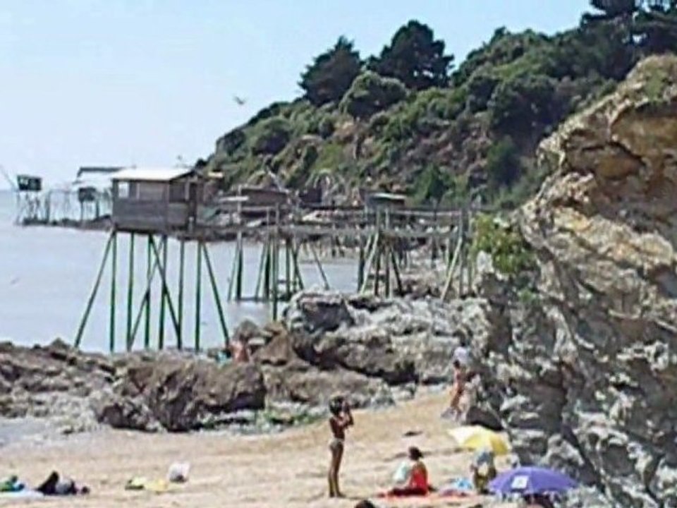 summer2011