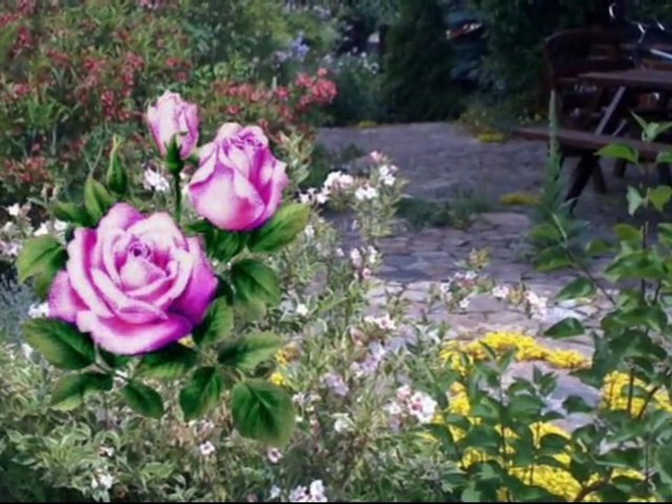 W moim ogrodzie-Darek Rybak