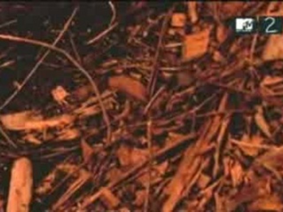 The black dahlia murder - Funeral thirst