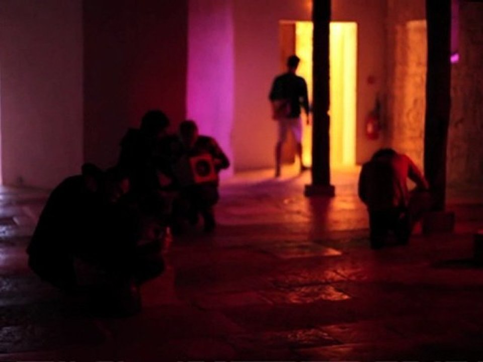 Untamed Disco / Discothèque sauvage