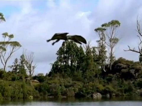 Im Reich der Giganten-E04-Unter Flügeln von Giganten