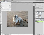 Tutoriel : Retouche de photos sur photoshop