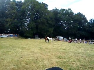 fete medievale a giat