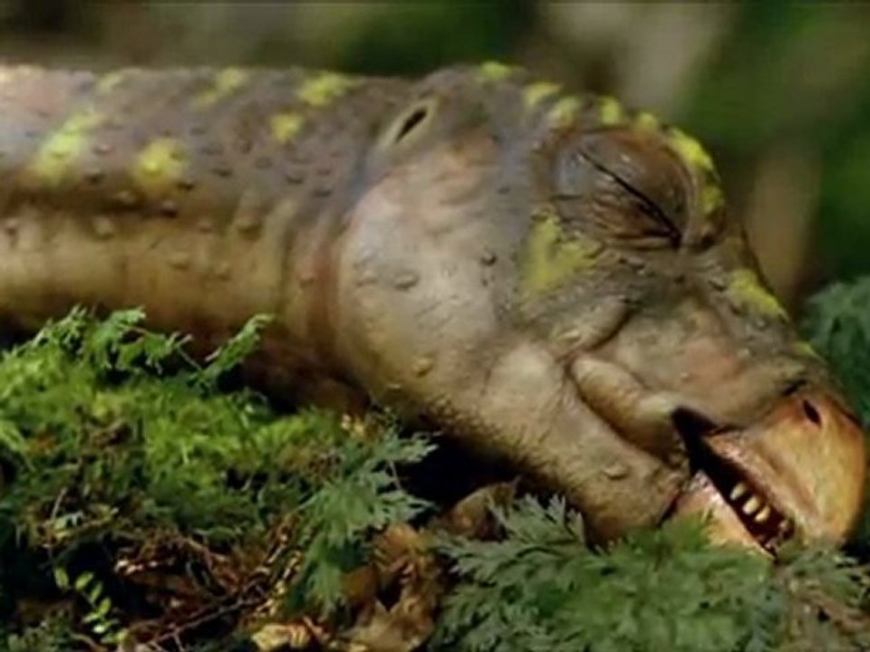 Im Reich der Giganten-E05-Die Wesen des stillen Waldes