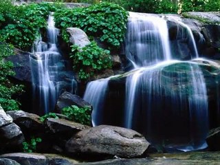 Видео Мой идеальный день