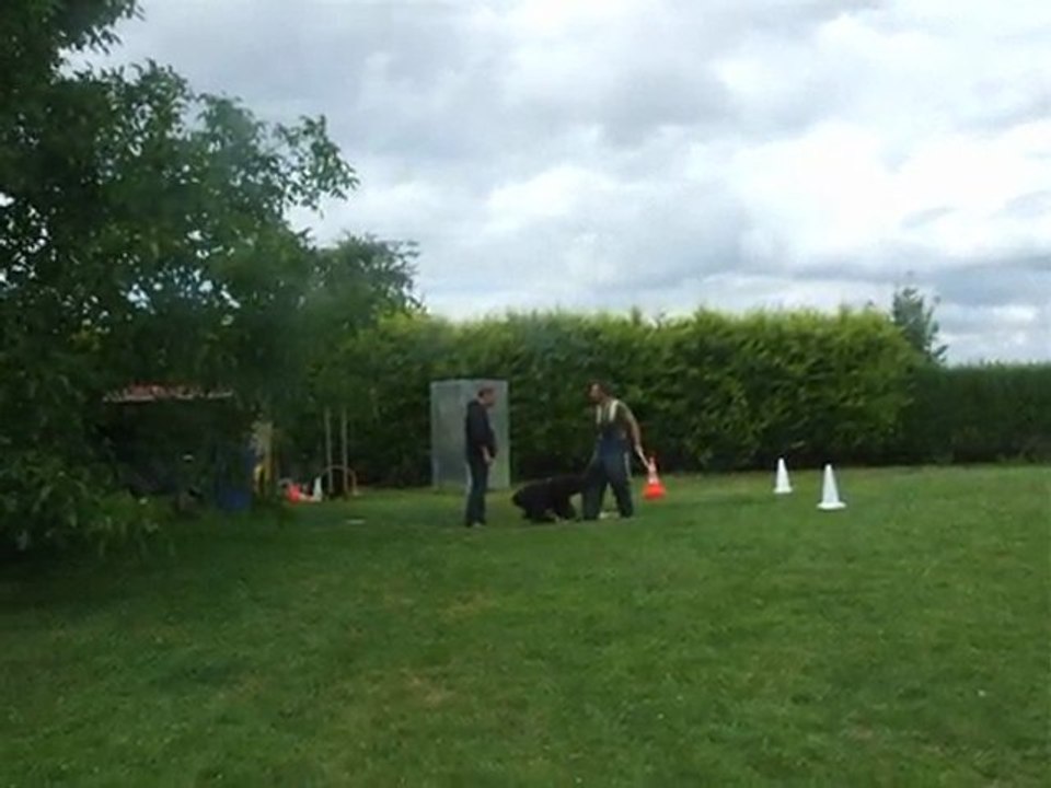 Faros des tourbières d'alliacum