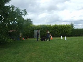 Faros des tourbières d'alliacum