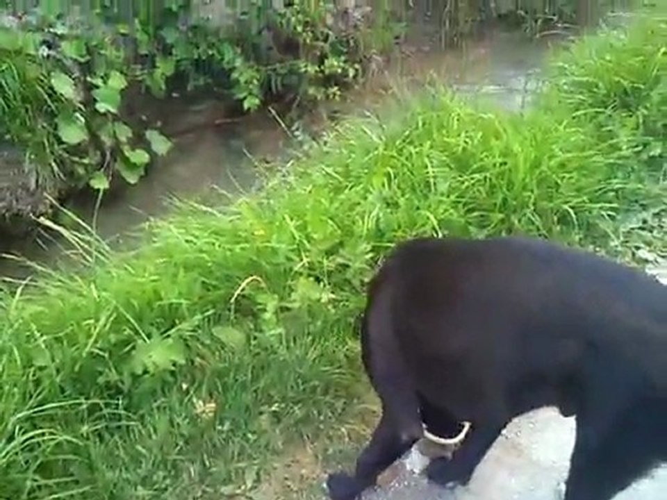 athi balade dans les champs