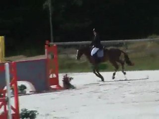 11-05-2011 Morgane et Tara à Liverdy