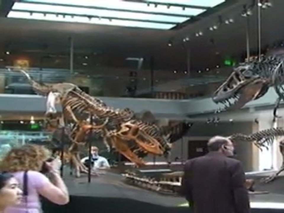Los dinosaurios muestran sus dientes en una ambiciosa exposición en Los Ángeles