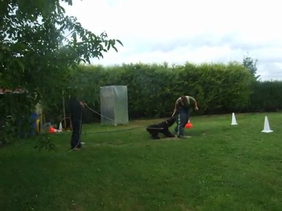 Faros des tourbières d'alliacum