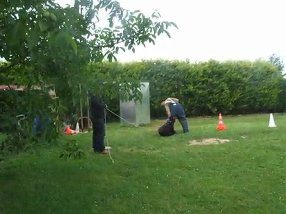 Faros des tourbières d'alliacum