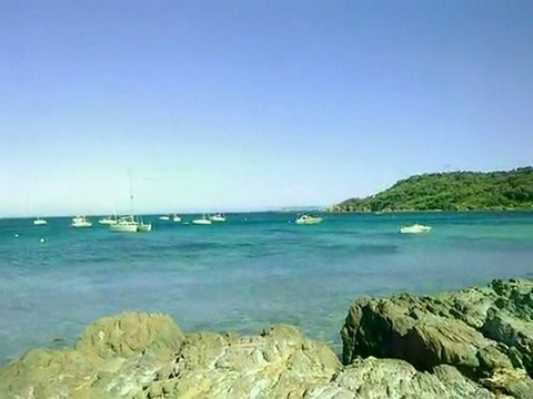 BORMES- LES- MIMOSAS ( La Favière )