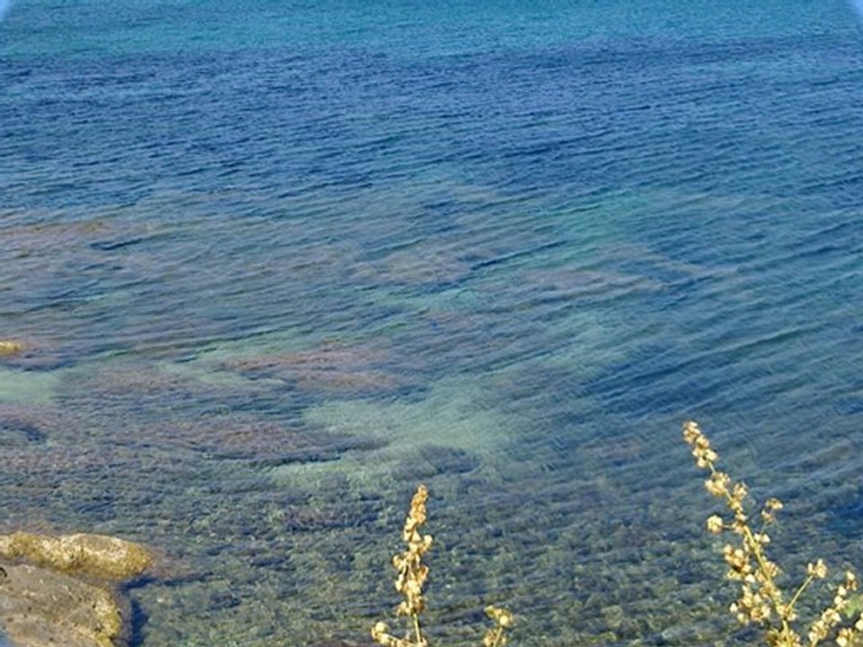 La londe les maures, Ile de PORQUEROLLE et Bormes-les-MIMOSAS ( la favière ) : sentiers côtiers