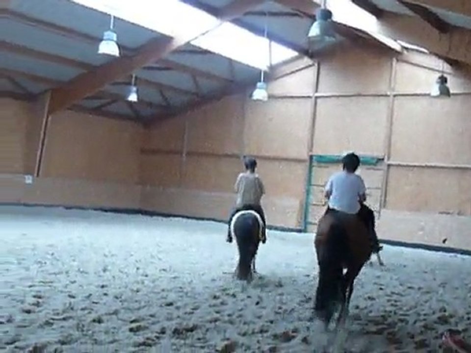 P1400408 AU GALOP !
