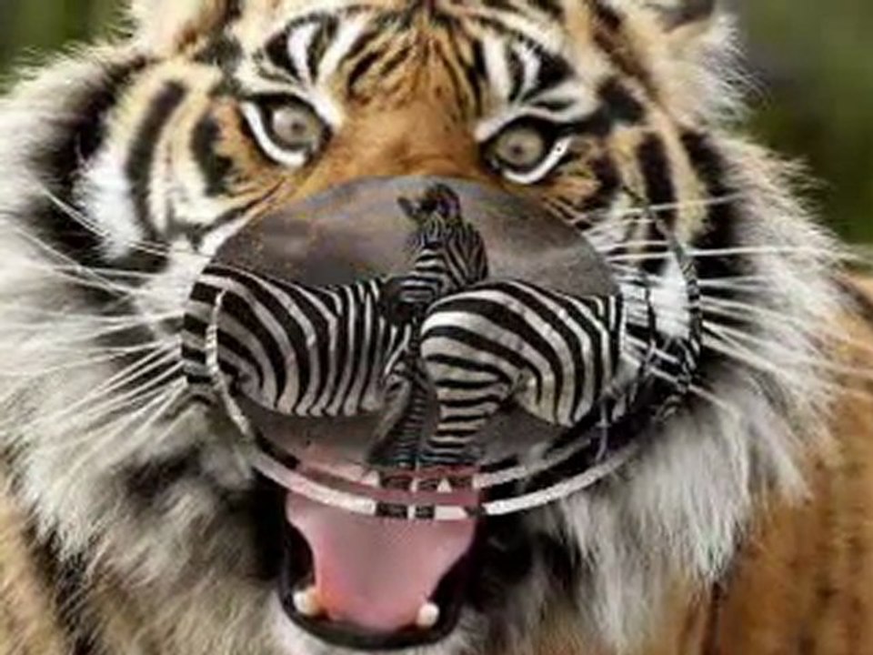 Metin Özülkü - Seninle Olmak Varya (Mustafa Dinç)