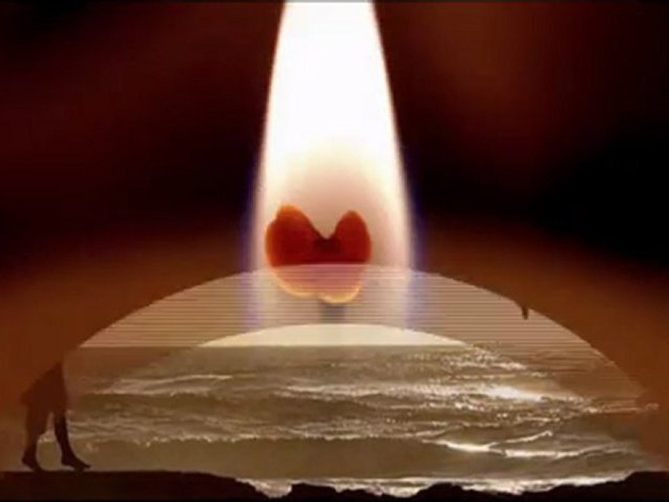 Fatih YILMAZ - seni Allah için sevdim..