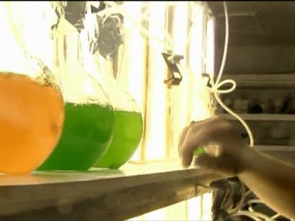 Aquacaux - Octeville sur Mer