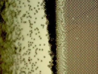 The world of Nanoscience