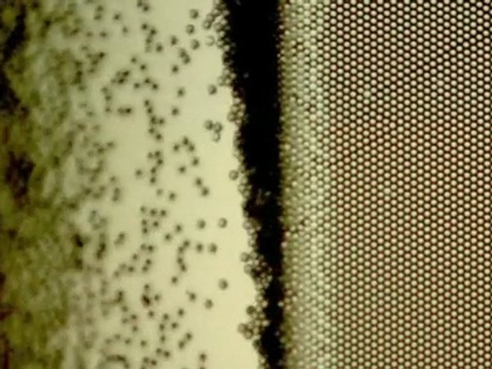 The world of Nanoscience